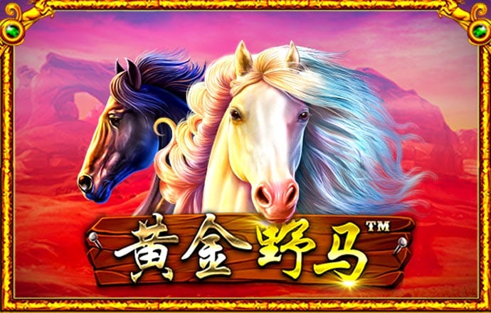新澳门资料大全正版资料